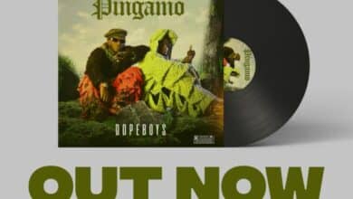 Dope Boys - Pingamo (Full Album & Zip) Mp3 Download